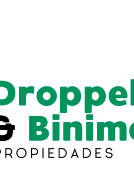 Droppelmann & Binimelis