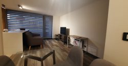 DEPARTAMENTO EN  VENTA PUERTO VARAS 2D 2B
