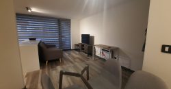 DEPARTAMENTO EN  VENTA PUERTO VARAS 2D 2B