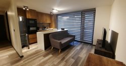 DEPARTAMENTO EN  VENTA PUERTO VARAS 2D 2B