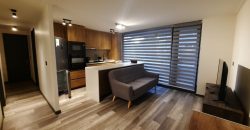 DEPARTAMENTO EN  VENTA PUERTO VARAS 2D 2B