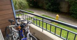 ARRIENDO DPTO 2D /1B PLAZA BRINTRUP PUERTO VARAS