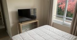 ARRIENDO DPTO 2D /1B PLAZA BRINTRUP PUERTO VARAS