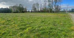 VENTA PARCELA EN OSORNO