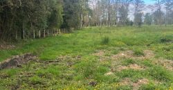VENTA PARCELA EN OSORNO