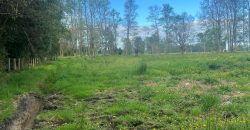 VENTA PARCELA EN OSORNO