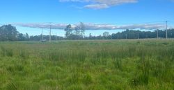 VENTA PARCELA EN OSORNO