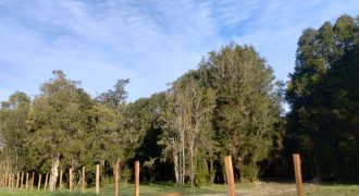 Parcela en Frutillar