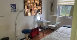 Local comercial céntrico en Puerto Varas en arriendo o venta