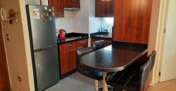 Arriendo dpto. Edificio Colonos 2D/2B