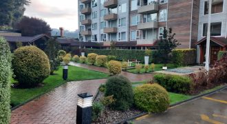 Arriendo dpto. Edificio Colonos 2D/2B