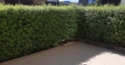 Arriendo dpto. Edificio Colonos 2D/2B