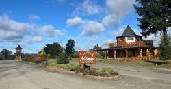 Parcela en Mirador de Frutillar