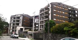 DEPARTAMENTO EDIFICIO ELEMENTOS VENTA 1D!1B, PUERTO VARAS