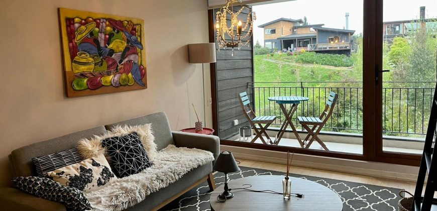 DEPARTAMENTO EDIFICIO ELEMENTOS VENTA 1D!1B, PUERTO VARAS