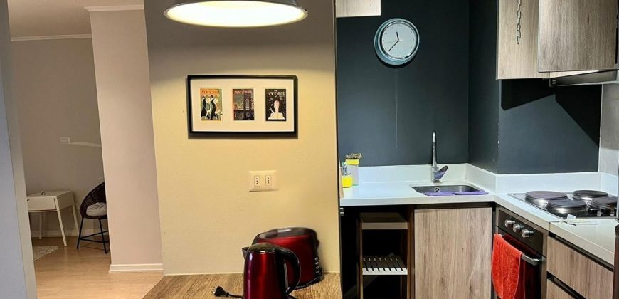DEPARTAMENTO EDIFICIO ELEMENTOS VENTA 1D!1B, PUERTO VARAS