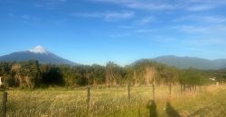 . Parcelas en Ensenada 5.000 m² | Bosque Nativo | Vista Volcanes y Playa Privada