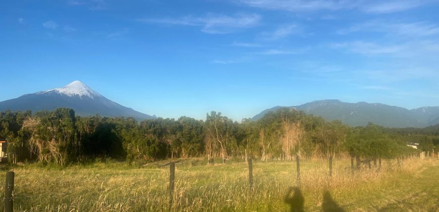 . Parcelas en Ensenada 5.000 m² | Bosque Nativo | Vista Volcanes y Playa Privada