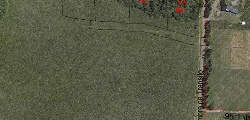 . Parcelas en Ensenada 5.000 m² | Bosque Nativo | Vista Volcanes y Playa Privada