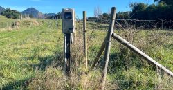 . Parcelas en Ensenada 5.000 m² | Bosque Nativo | Vista Volcanes y Playa Privada