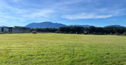 . Parcelas en Ensenada 5.000 m² | Bosque Nativo | Vista Volcanes y Playa Privada