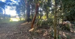 Parcela con Casa en venta, Condominio Idan Mapu 3d/3b