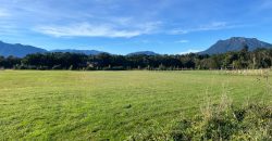 . Parcelas en Ensenada 5.000 m² | Bosque Nativo | Vista Volcanes y Playa Privada