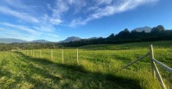 . Parcelas en Ensenada 5.000 m² | Bosque Nativo | Vista Volcanes y Playa Privada