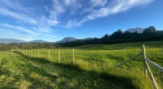 . Parcelas en Ensenada 5.000 m² | Bosque Nativo | Vista Volcanes y Playa Privada