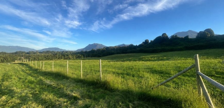 . Parcelas en Ensenada 5.000 m² | Bosque Nativo | Vista Volcanes y Playa Privada