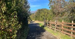 . Parcelas en Ensenada 5.000 m² | Bosque Nativo | Vista Volcanes y Playa Privada