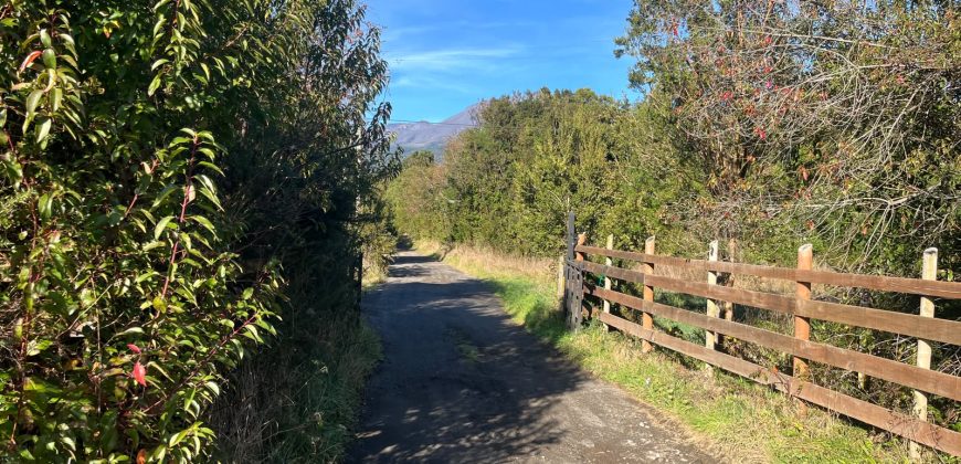 . Parcelas en Ensenada 5.000 m² | Bosque Nativo | Vista Volcanes y Playa Privada