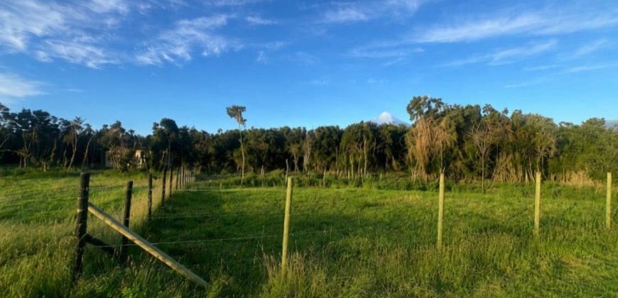 . Parcelas en Ensenada 5.000 m² | Bosque Nativo | Vista Volcanes y Playa Privada