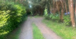 . Parcelas en Ensenada 5.000 m² | Bosque Nativo | Vista Volcanes y Playa Privada