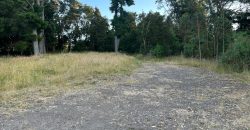 . Parcelas en Ensenada 5.000 m² | Bosque Nativo | Vista Volcanes y Playa Privada