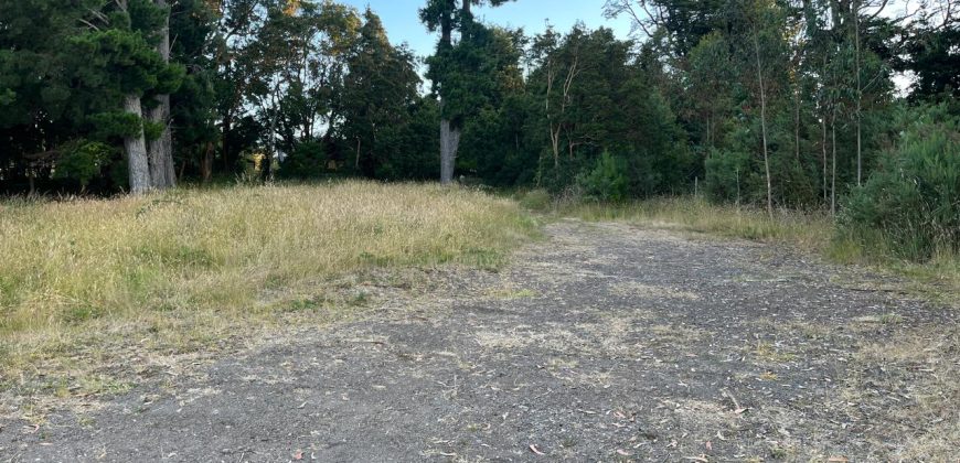 . Parcelas en Ensenada 5.000 m² | Bosque Nativo | Vista Volcanes y Playa Privada