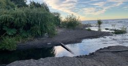 . Parcelas en Ensenada 5.000 m² | Bosque Nativo | Vista Volcanes y Playa Privada