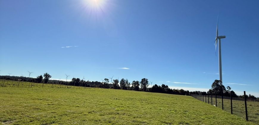 Parcela 5.000 m²  Loncotoro Puerto Varas  con Luz, Agua y Vista Volcanes