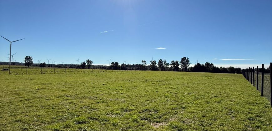 Parcela 5.000 m²  Loncotoro Puerto Varas  con Luz, Agua y Vista Volcanes