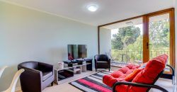 DEPARTAMENTO EN VENTA  PUERTO VARAS 2D/2B VISTA AL LAGO