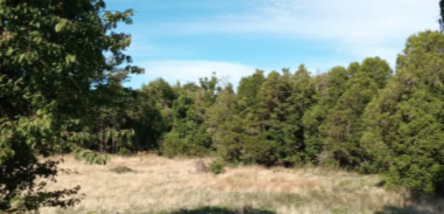 Parcelas en condominio Cumbres, Frutillar