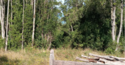 Parcelas en condominio Cumbres, Frutillar