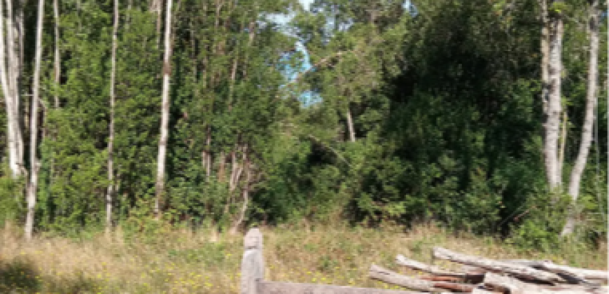 Parcelas en condominio Cumbres, Frutillar
