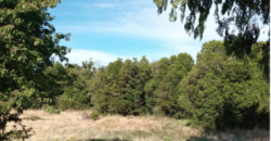 Parcelas en condominio Cumbres, Frutillar