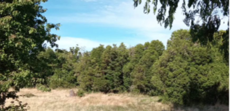 Parcelas en condominio Cumbres, Frutillar