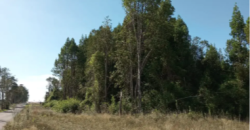 Parcelas en condominio Cumbres, Frutillar
