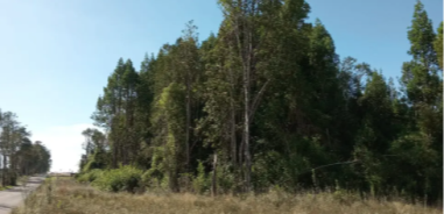 Parcelas en condominio Cumbres, Frutillar