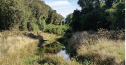 Parcelas en condominio Cumbres, Frutillar