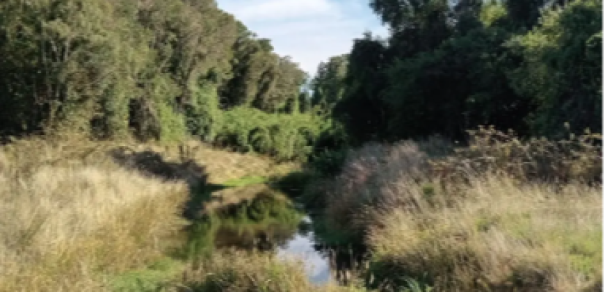Parcelas en condominio Cumbres, Frutillar