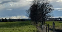 HERMOSA PARCELA/ CAMINO A NUEVA BRAUNAU